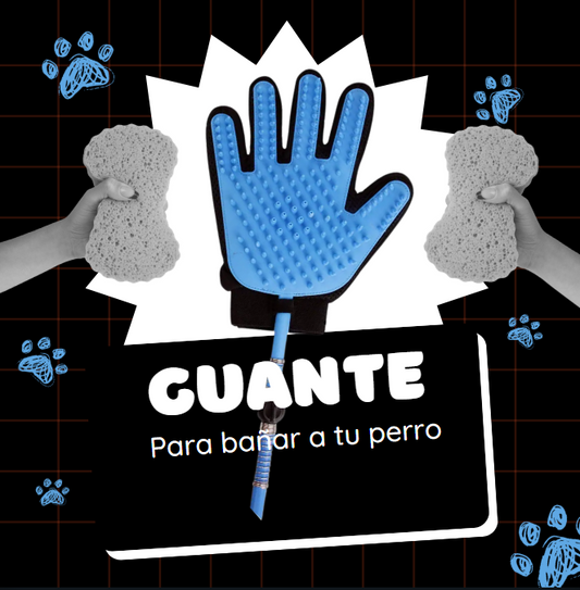 Guante con manguera para bañar perros